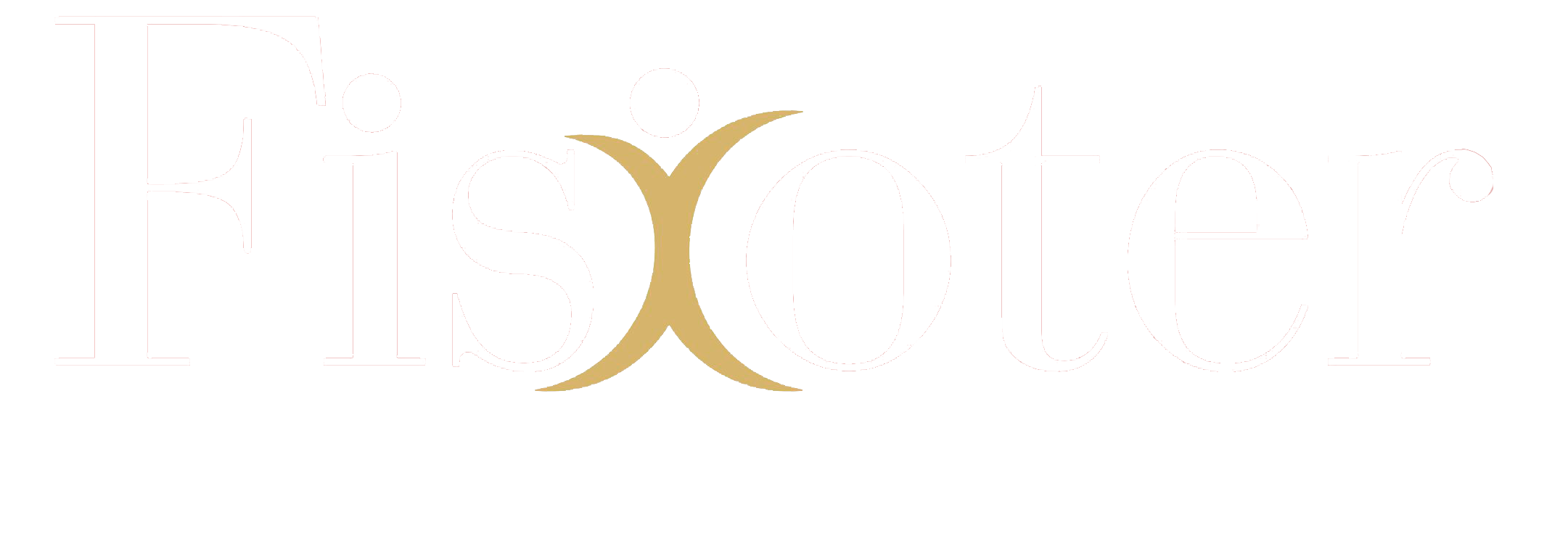 Fisioter